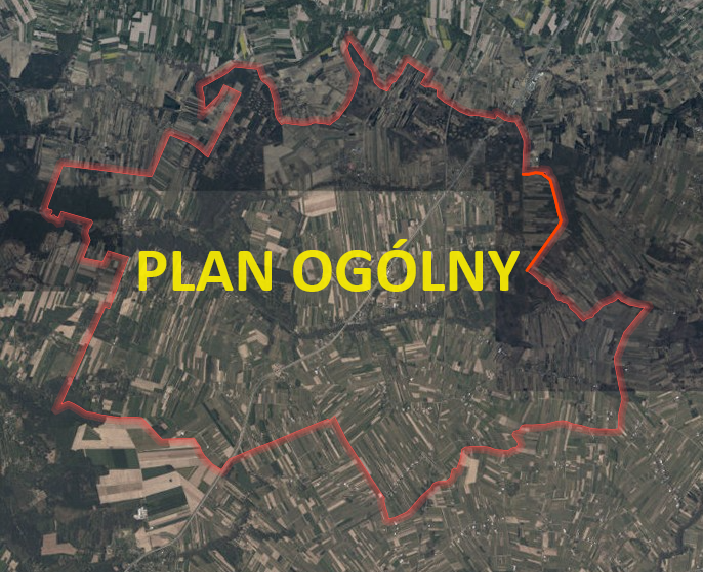 PLAN OGÓLNY GMINY KOWIESY